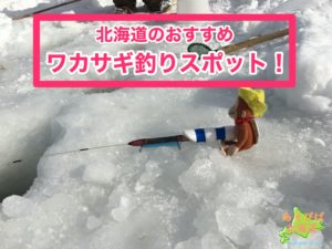 北海道のおすすめワカサギ釣りスポット