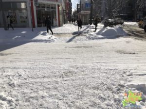 1月の札幌中心部の道路