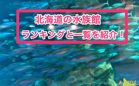 北海道の水族館ランキングと一覧を紹介