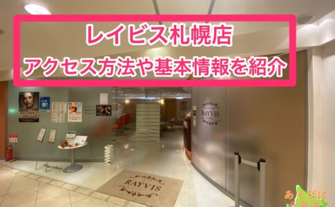レイビス札幌店アクセス方法