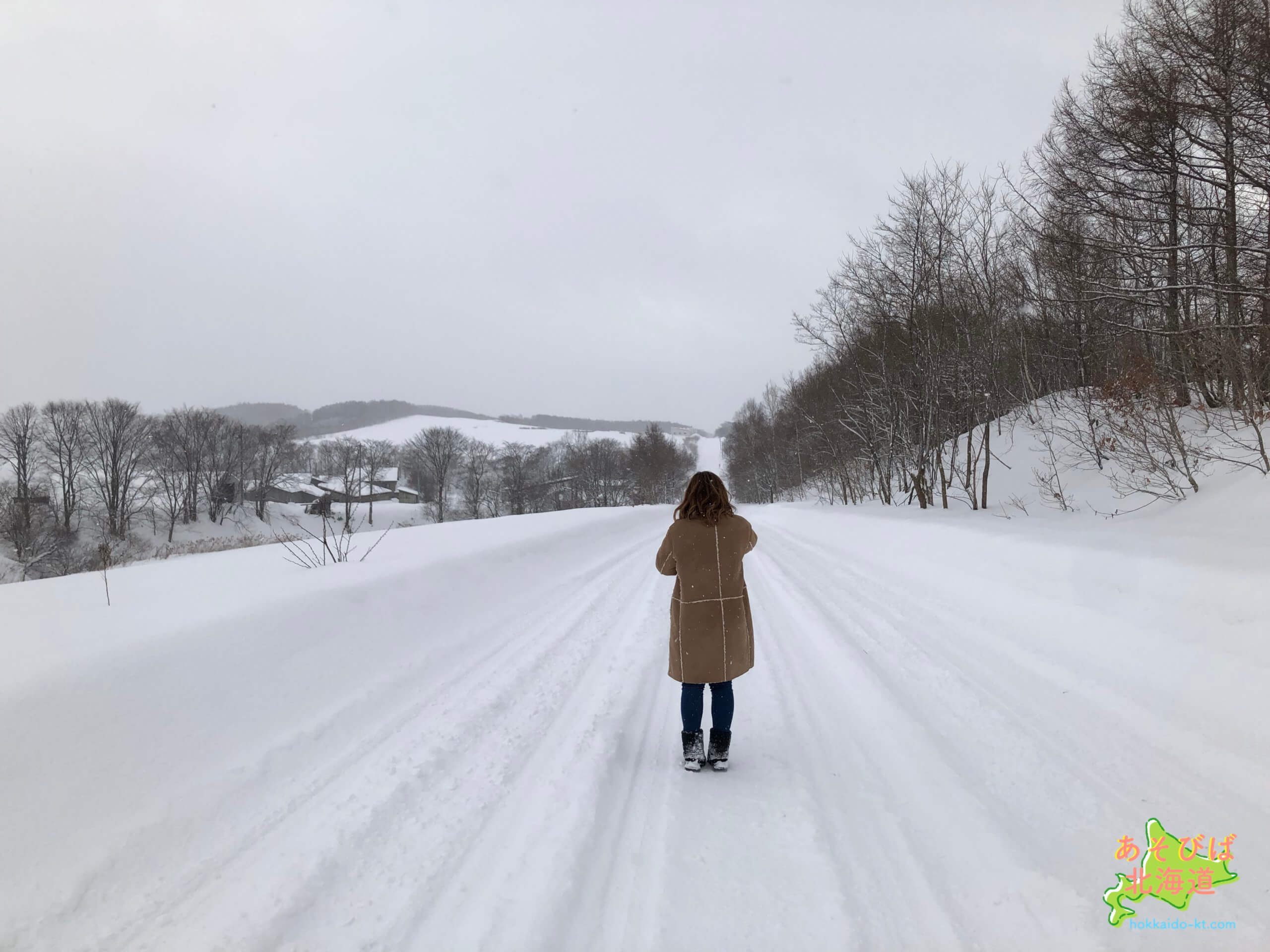 冬の北海道の景色