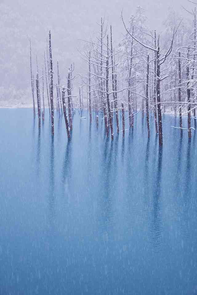 北海道の絶景青い池の場所は アクセス方法 なぜ青いの あそびば北海道