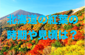 北海道の紅葉の時期や見頃は９月や１０月 名所は 大雪山や定山渓 層雲峡が人気 あそびば北海道