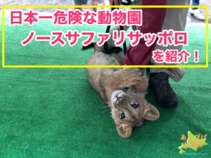 日本一危険な動物園ノースサファリサッポロを紹介