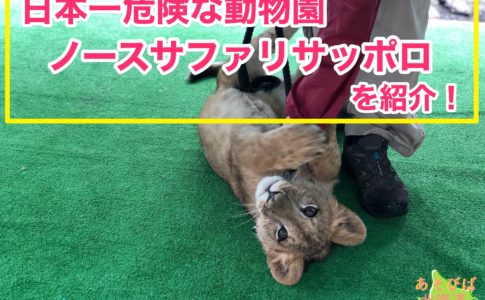 日本一危険な動物園ノースサファリサッポロを紹介