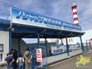 ノシャップ寒流水族館