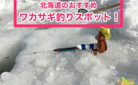 北海道のおすすめワカサギ釣りスポット
