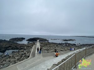 留萌市黄金岬の風景
