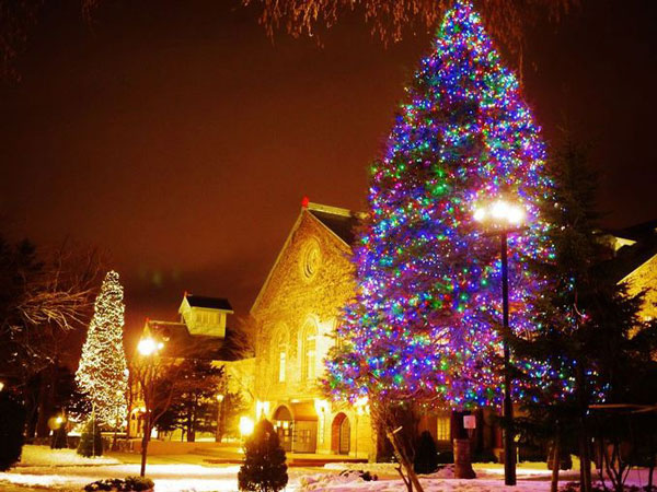 illumination-sapporo_07