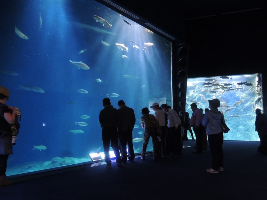 北海道の水族館ランキング！一覧！登別や小樽が人気？おすすめは？有名なのは？ | あそびば北海道