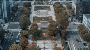 大通公園の紅葉