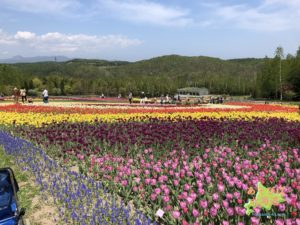 滝野すずらん公園