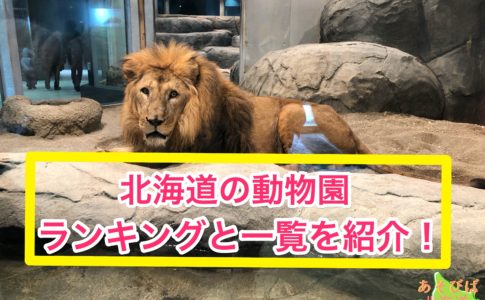 北海道の動物園ランキングと一覧を紹介