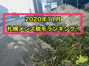 2020年11月札幌メンズ脱毛ランキング